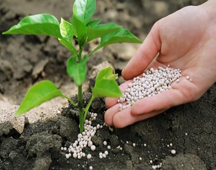 Tarımsal Kimyevi Gübreleri Tedarik ve ihracat
