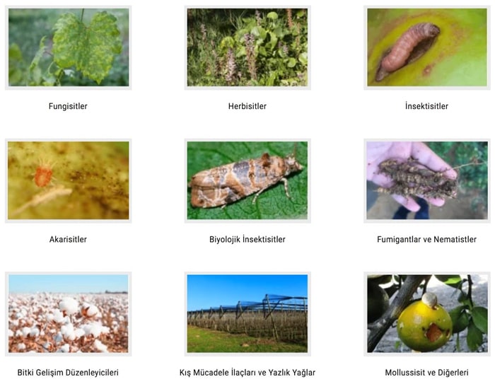 Bitki Koruma Ürünleri