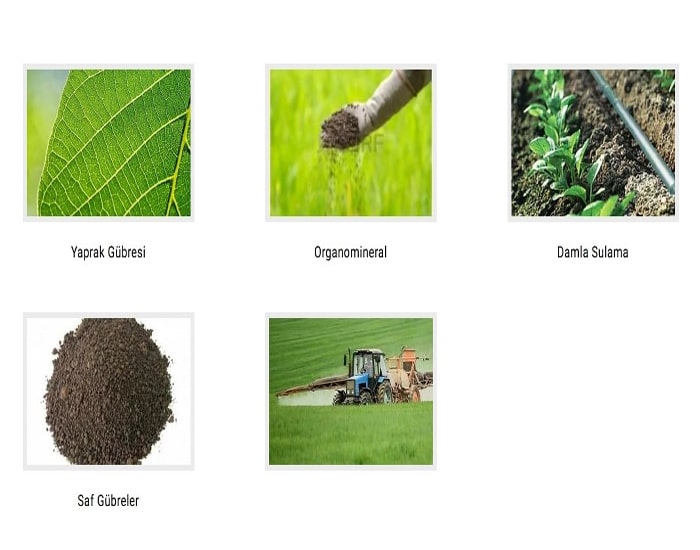 Bitki Besleme Ürünleri